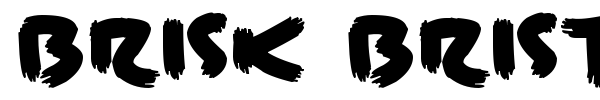 Brisk Bristle Brush font preview